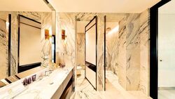 The Ritz-Carlton  (D9), Condominium #460730881